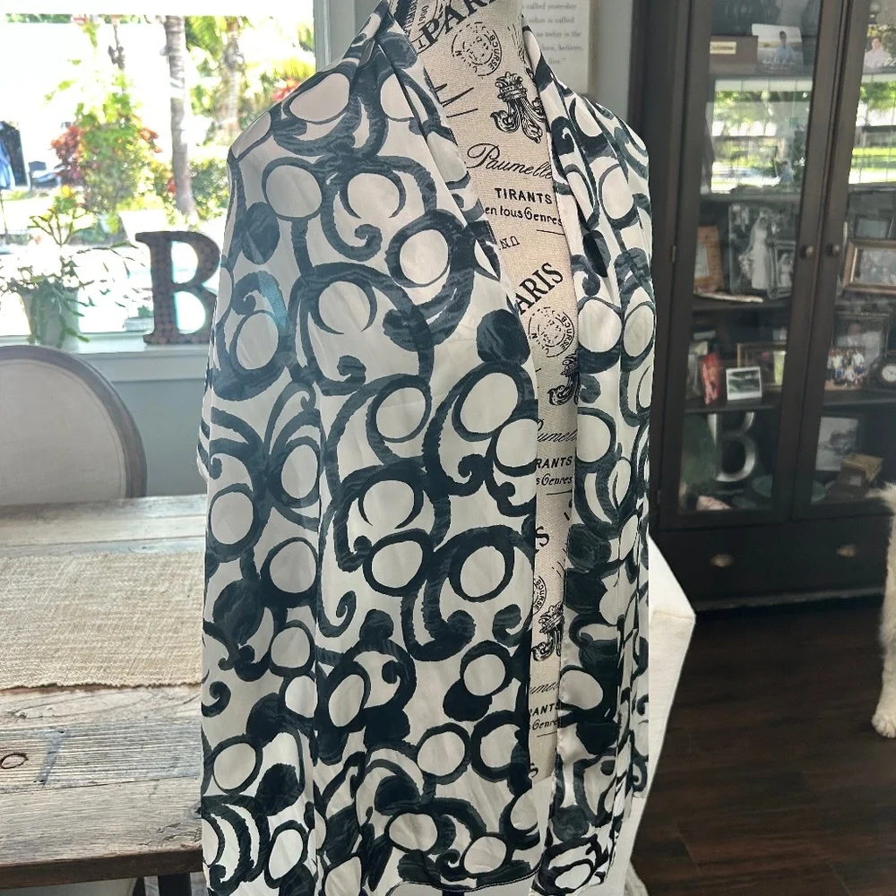 🧣EUC - BEAUTIFUL SCARF